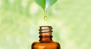The Power of Natural Oils